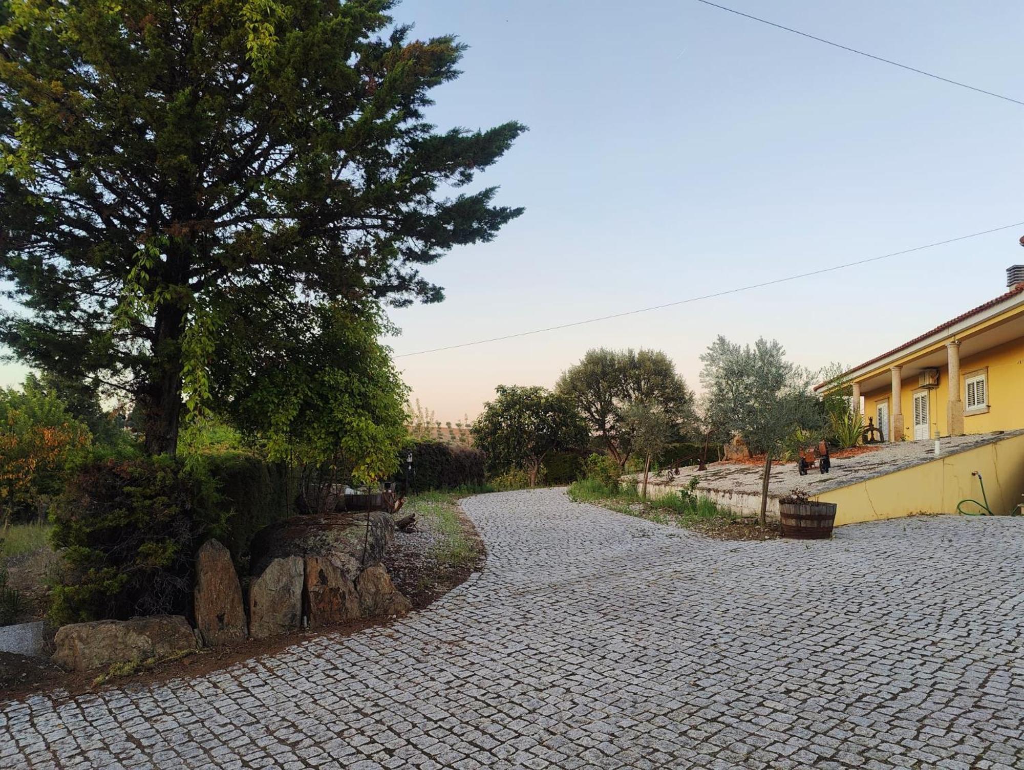 Quinta Da Libelinha Alojamento Local - Mirandela Exteriör bild