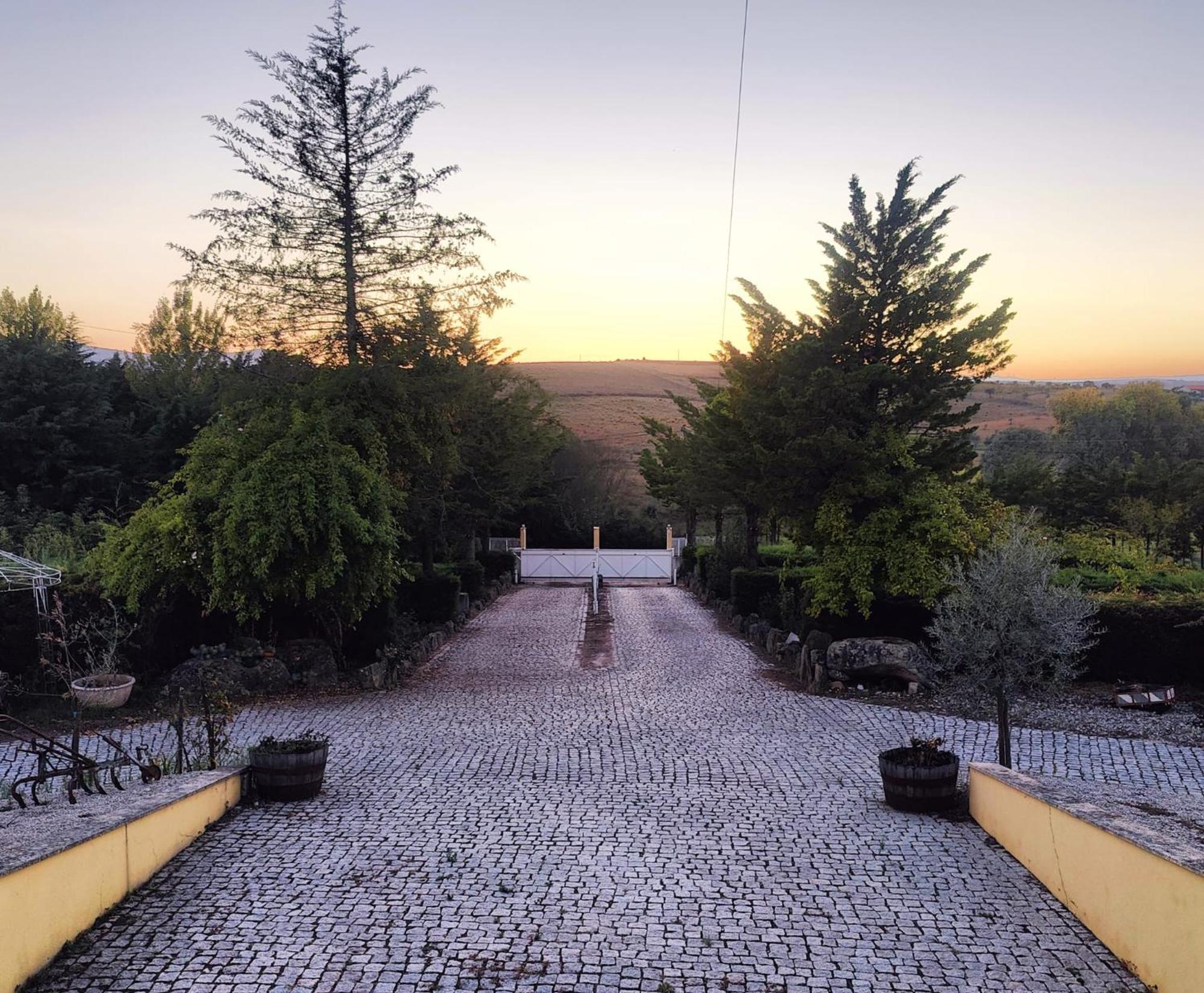 Quinta Da Libelinha Alojamento Local - Mirandela Exteriör bild